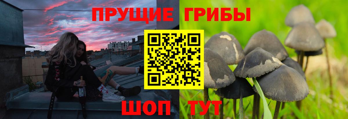 Галлюциногенные грибы Magic Shrooms Южно-Сахалинск
